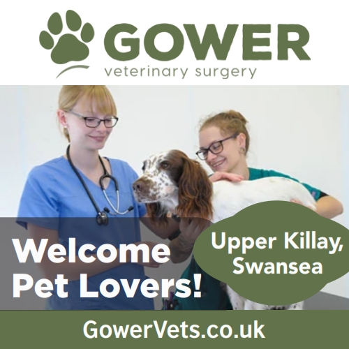 Gower Vets